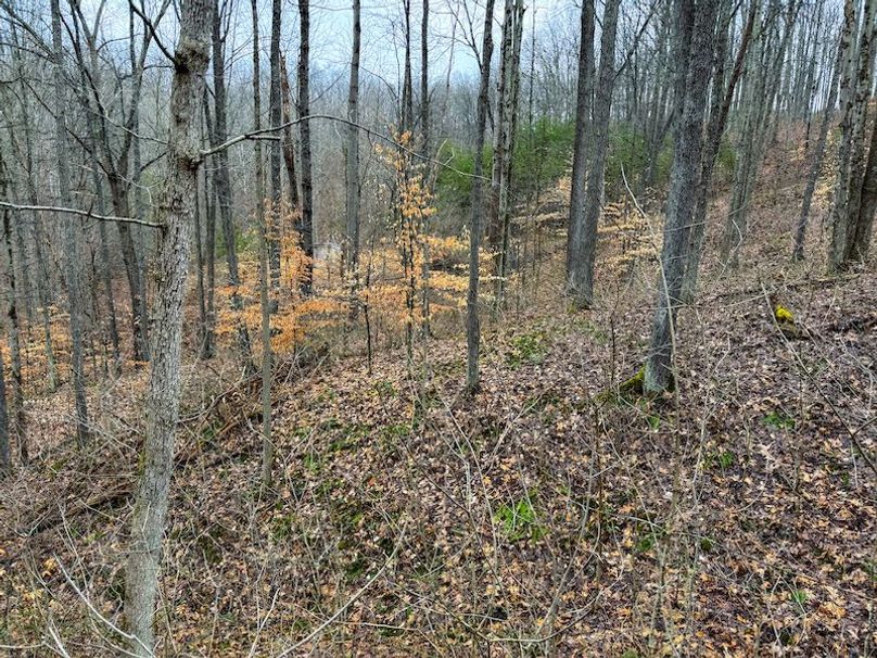 Ritchie, WV 64 AC Hall New Pics-08