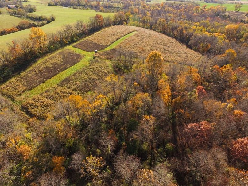 Fleming Petry 120-023