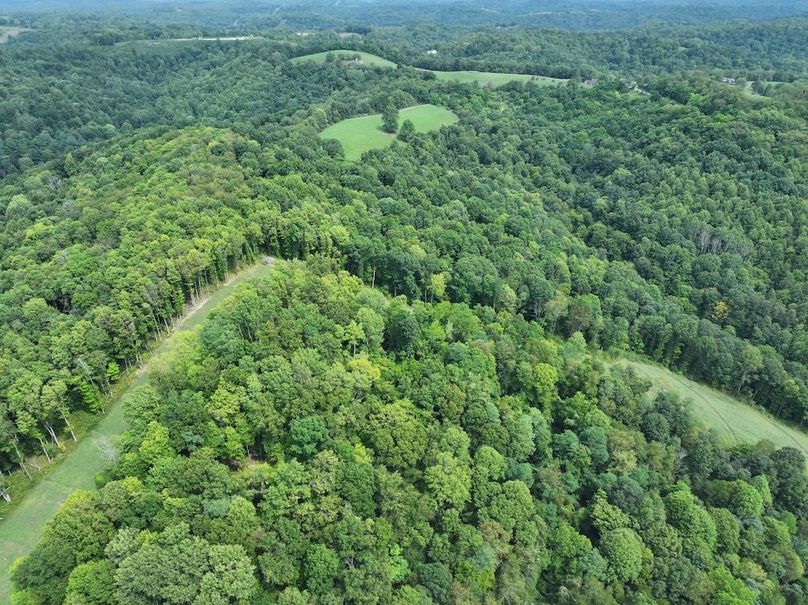 DJI_20240816025651_0016_D