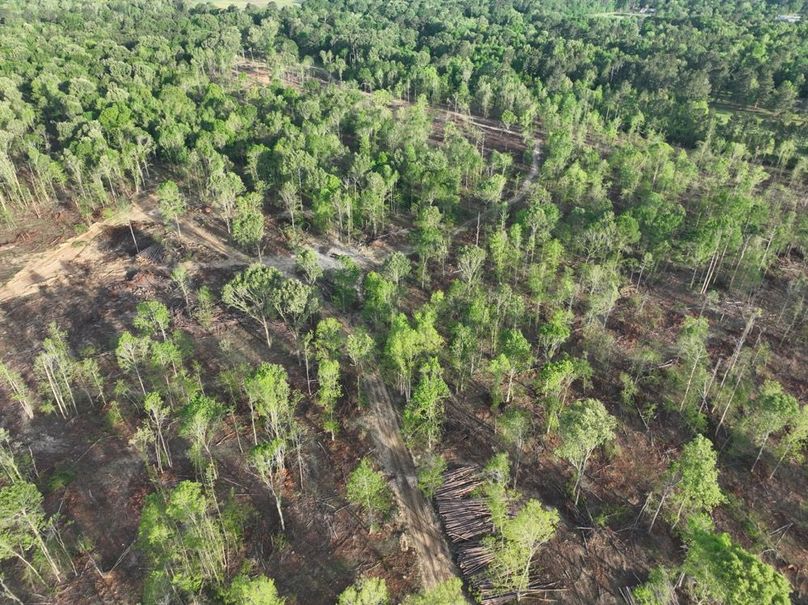 dji_fly_20260407_083604_364_1775580296601_photo