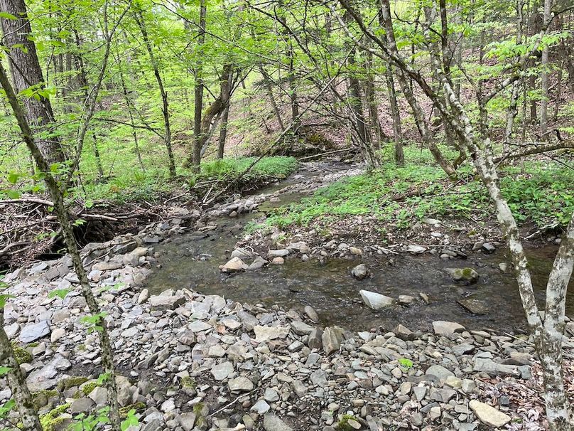 Tioga_78_Biada_Photos_9