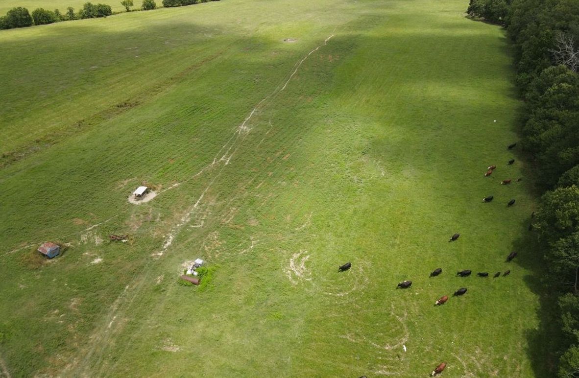 dji_fly_20250726_122100_583_1753550480580_photo