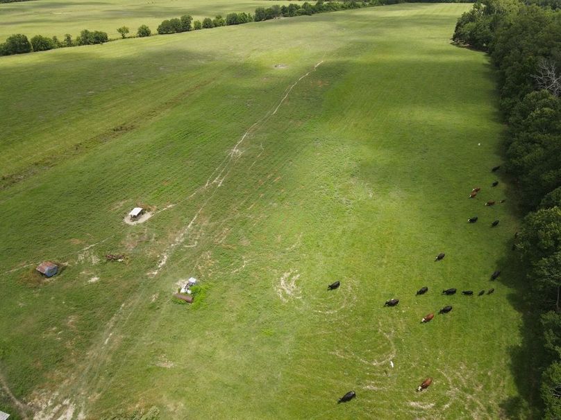 dji_fly_20250726_122100_583_1753550480580_photo