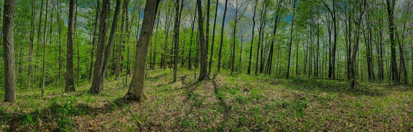 Doddridge, WV 64.69 AC Davis-14