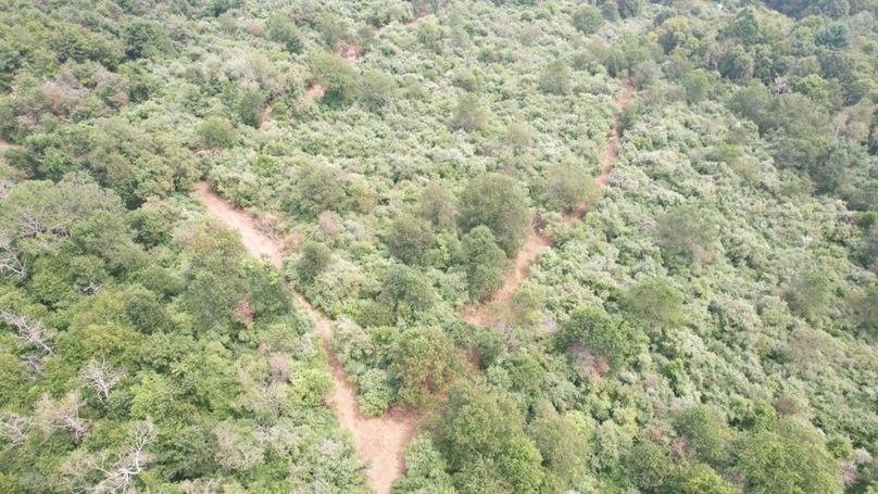 dji_fly_20250806_125956_558_1754499821526_photo