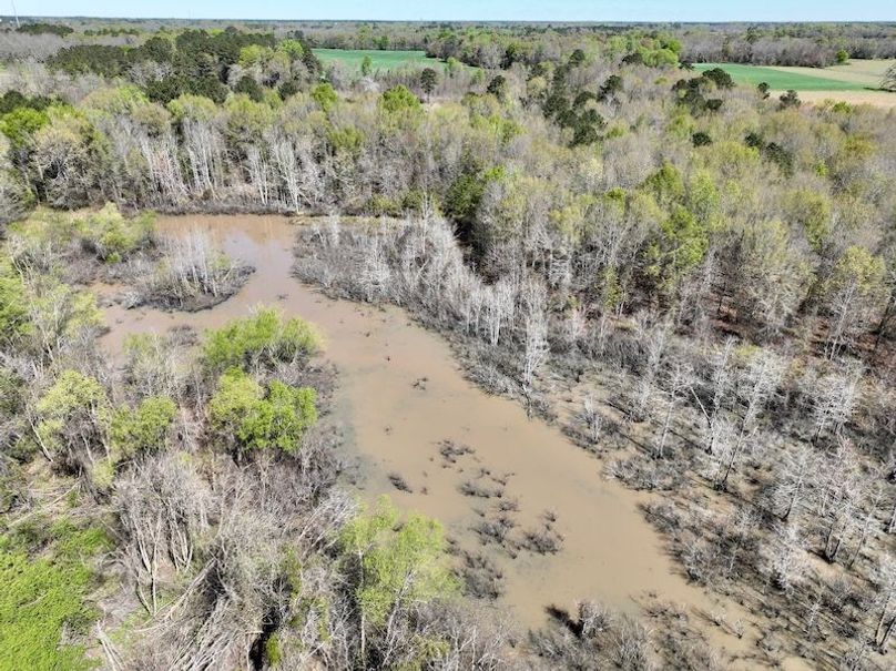 dji_fly_20260317_120142_435_1773763407463_photo