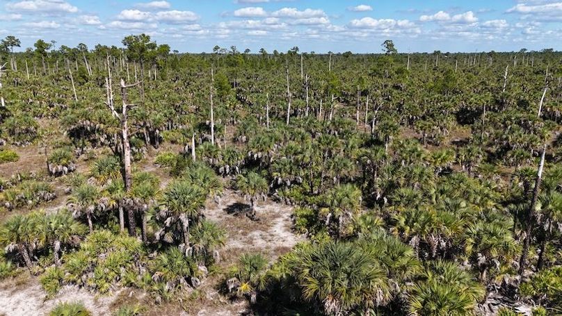 DJI_20251119125128_0997_D