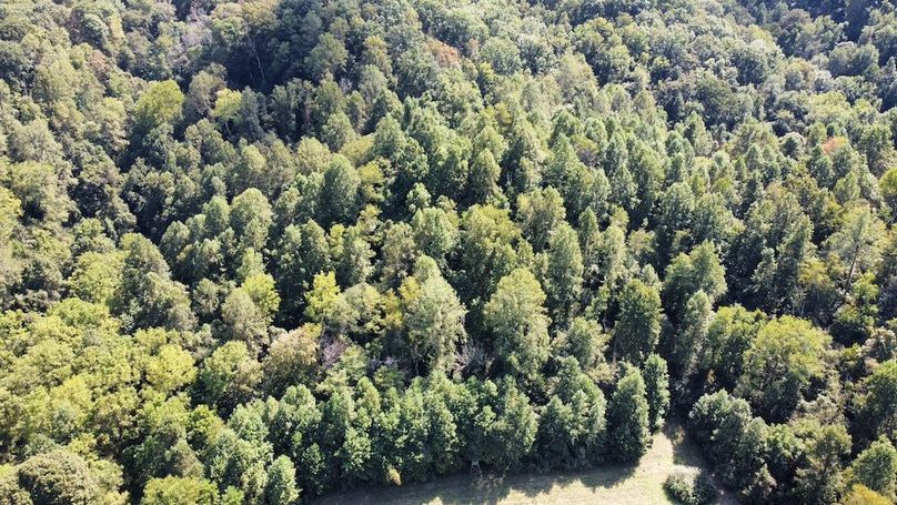 dji_fly_20250910_144428_189_1757539803663_photo_optimized