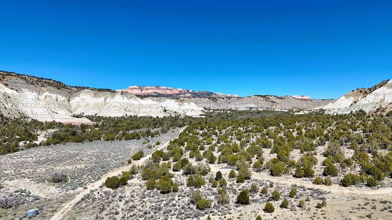 DJI_20240403111001_0140_D