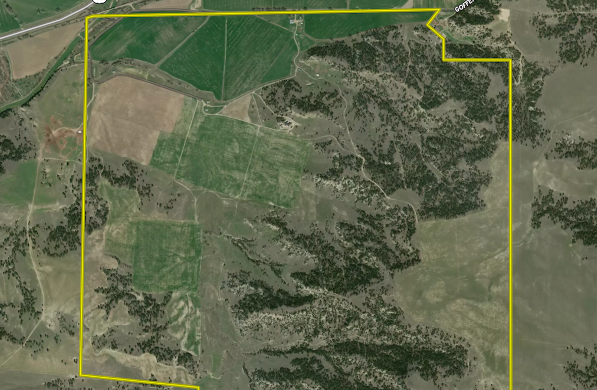 Screenshot 2025-04-02 at 9.29.32 AM