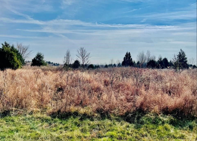 Screen Shot 2024-01-03 at 10.34.57 PM