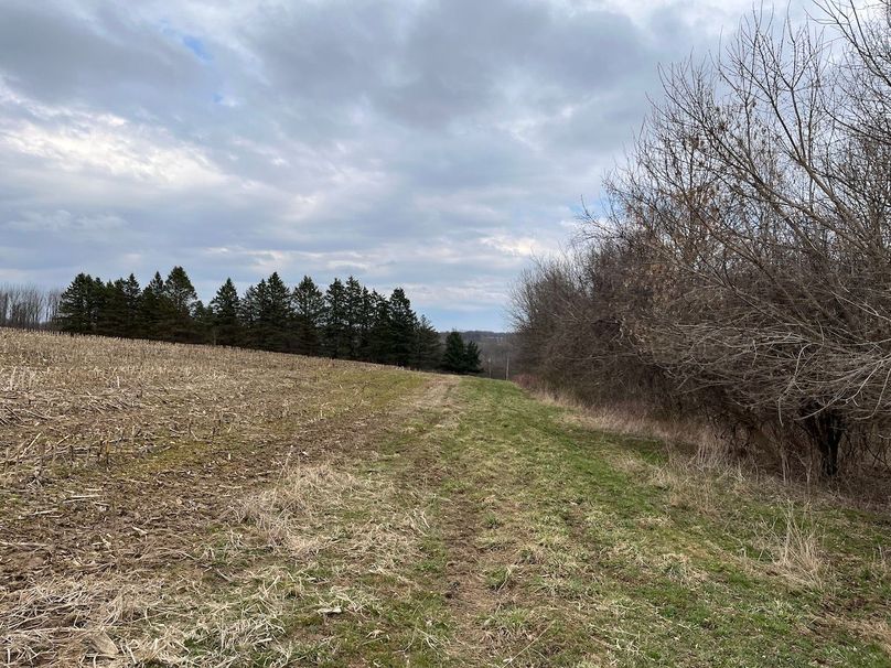 Ontario_96.7_Kiikka Photo 27