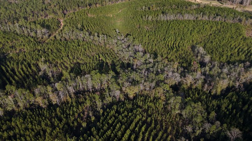 DJI_20231213151441_0013_D