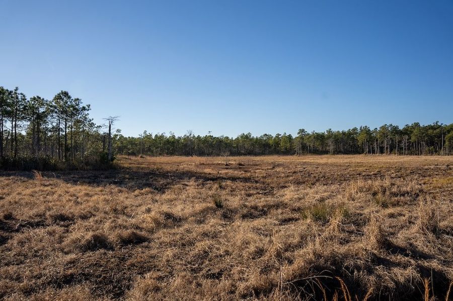 Carteret NC 7,500 Featured Pro Photo-6