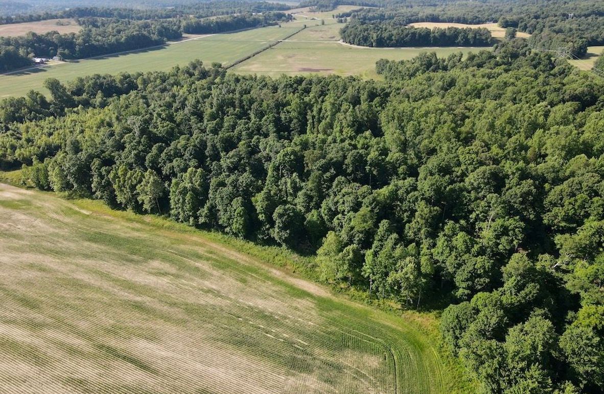 dji_fly_20260604_093600_63_1780580167135_photo