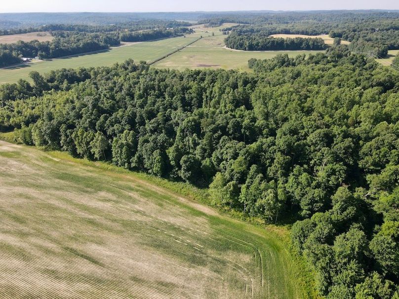 dji_fly_20260604_093600_63_1780580167135_photo