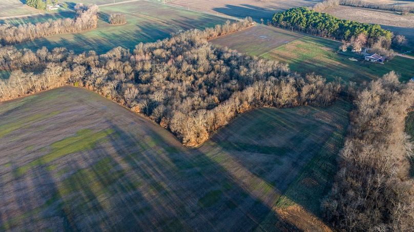 DJI_20260309075645_0005_D