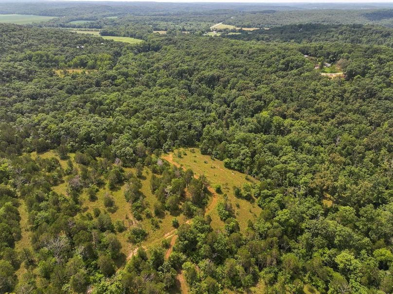 DJI_20250730112655_0503_D