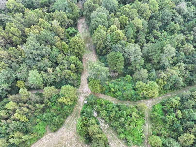 dji_fly_20250924_092622_0521_1758726289476_photo