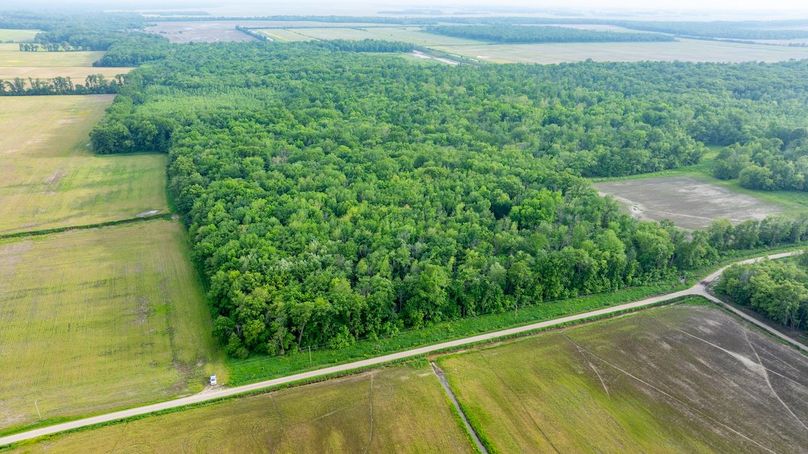 DJI_20250515173652_0026_D