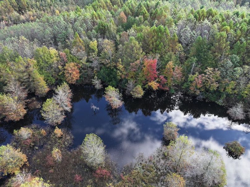 DJI_20251018094935_0121_D