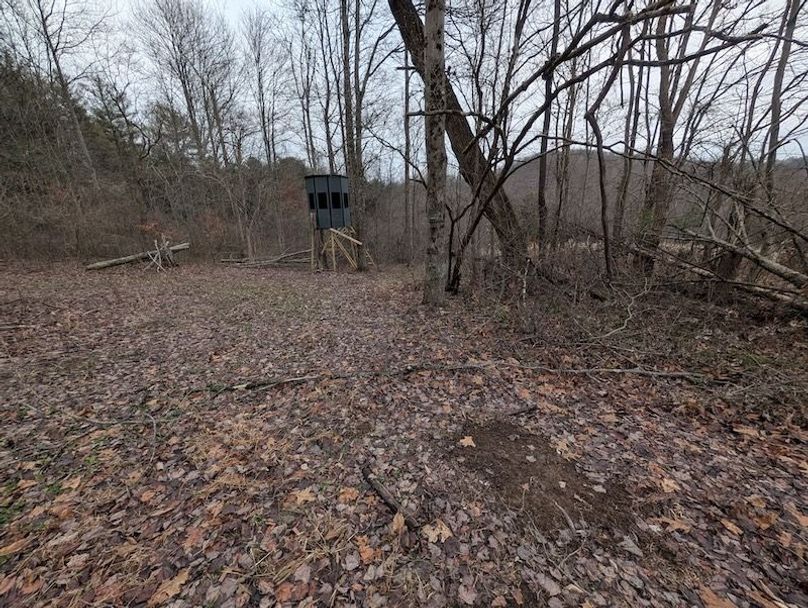 PXL_20260107_205028606