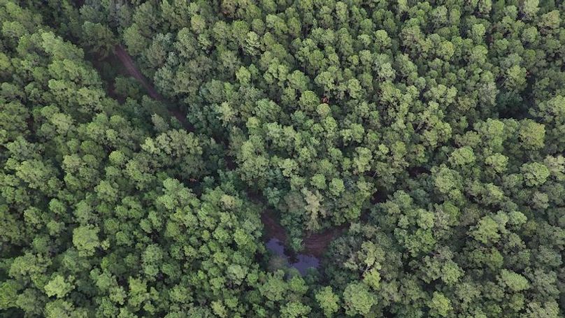 DJI_20251007192446_0051_D