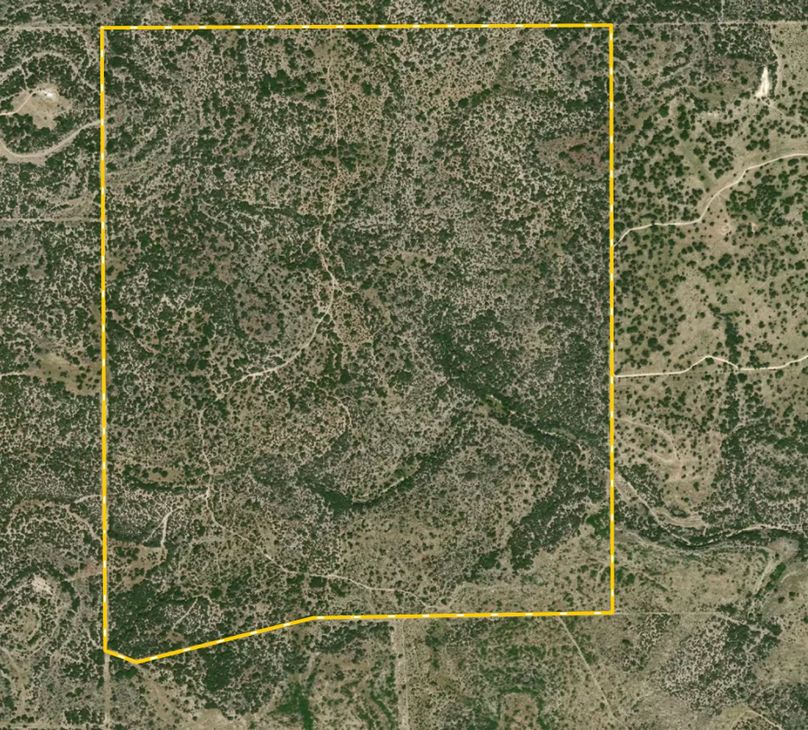 Screen Shot 2025-09-05 at 10.10.48 AM