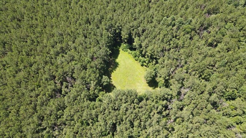 dji_fly_20250709_112938_883_1752078626268_photo