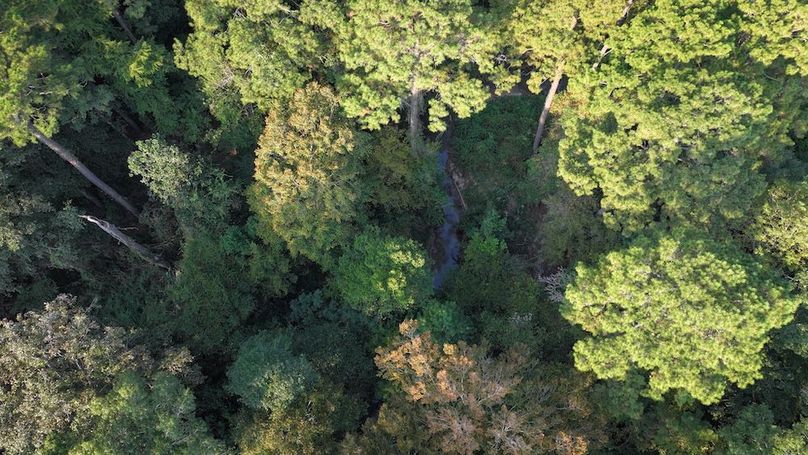 DJI_20250918080652_0120_D