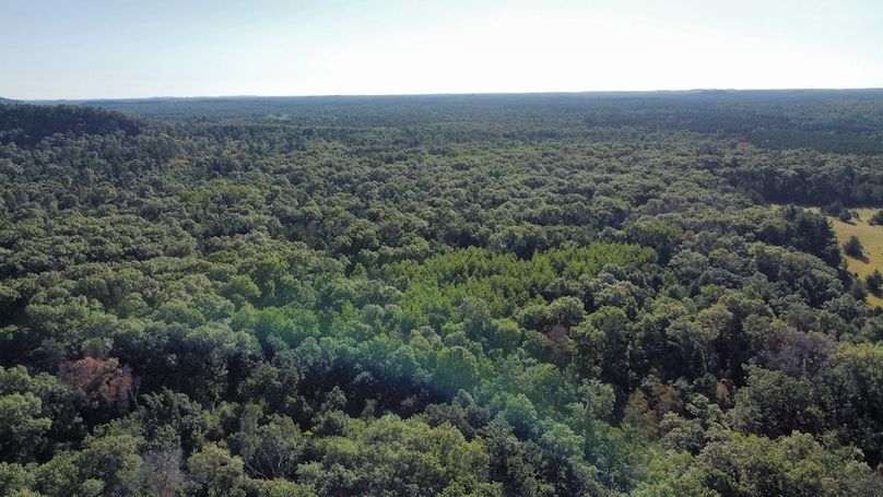 dji_fly_20240810_081504_308_1724082431956_photo_optimized