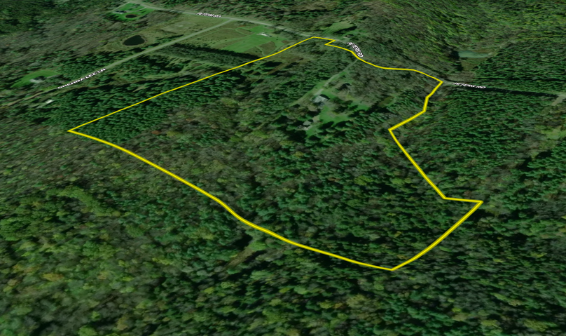 Tompkins_38.42_Shea_LandiD_7