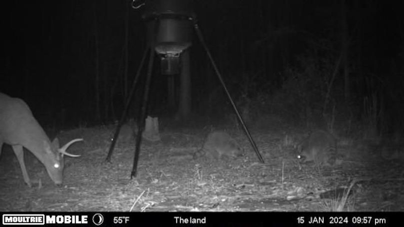 image638476371652732982