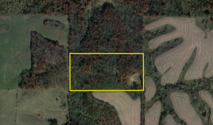 Screenshot 2024-08-07 at 8.52.59 AM