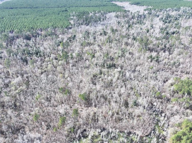 dji_fly_20260112_123716_0821_1768323787997_photo