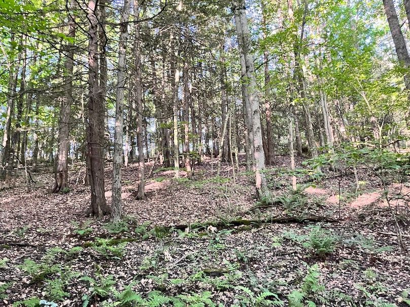 Tioga_82.5_Williams_Photos_36