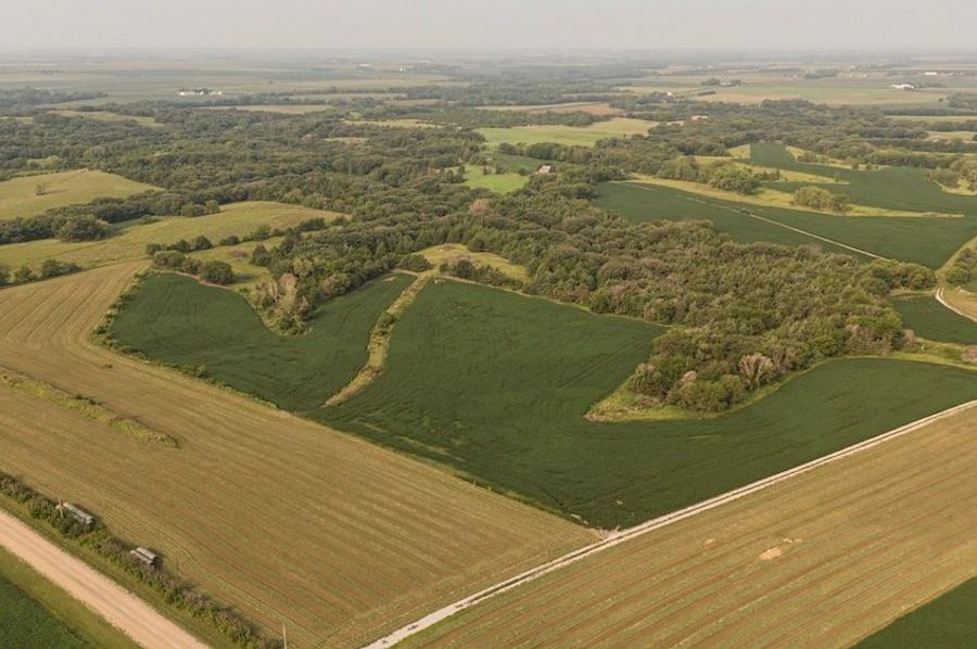 DJI_20240725220909_0006_D