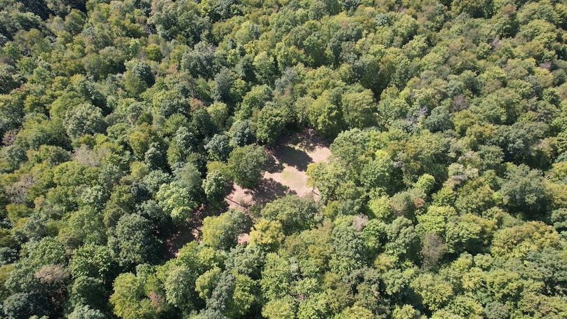 dji_fly_20240906_144254_620_1725648407284_photo