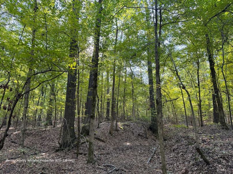 DeSoto 109 Prewett -9