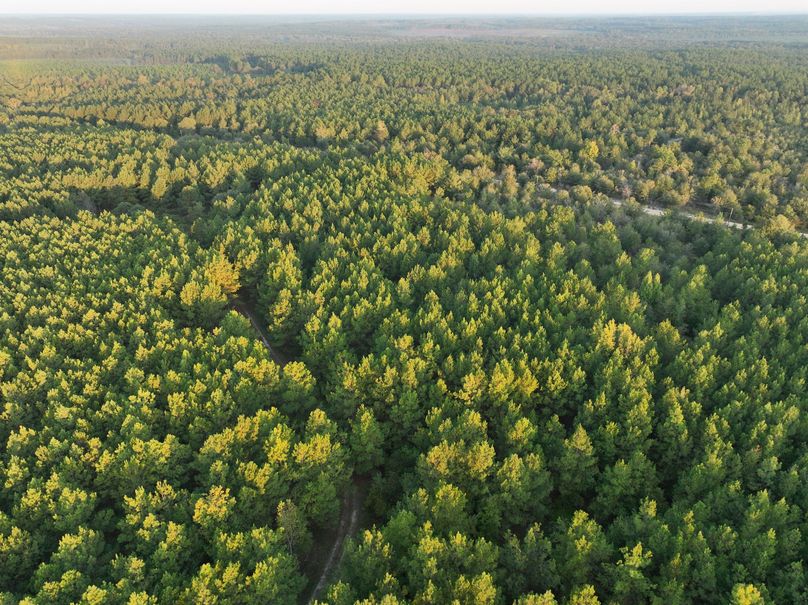 dji_fly_20230925_074524_745_1695642641260_photo