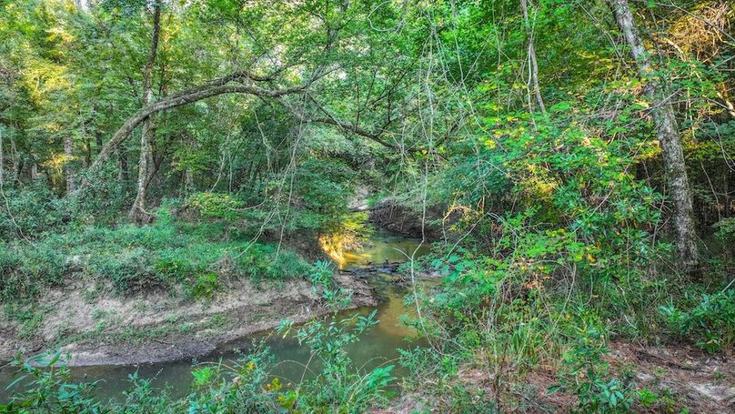 DJI_20250918081320_0124_D