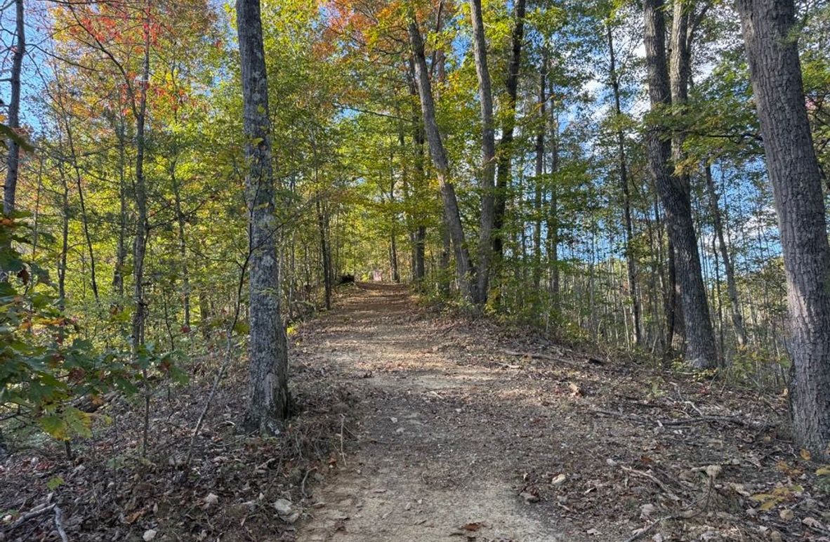 003 beautiful fall colors along a finger ridge