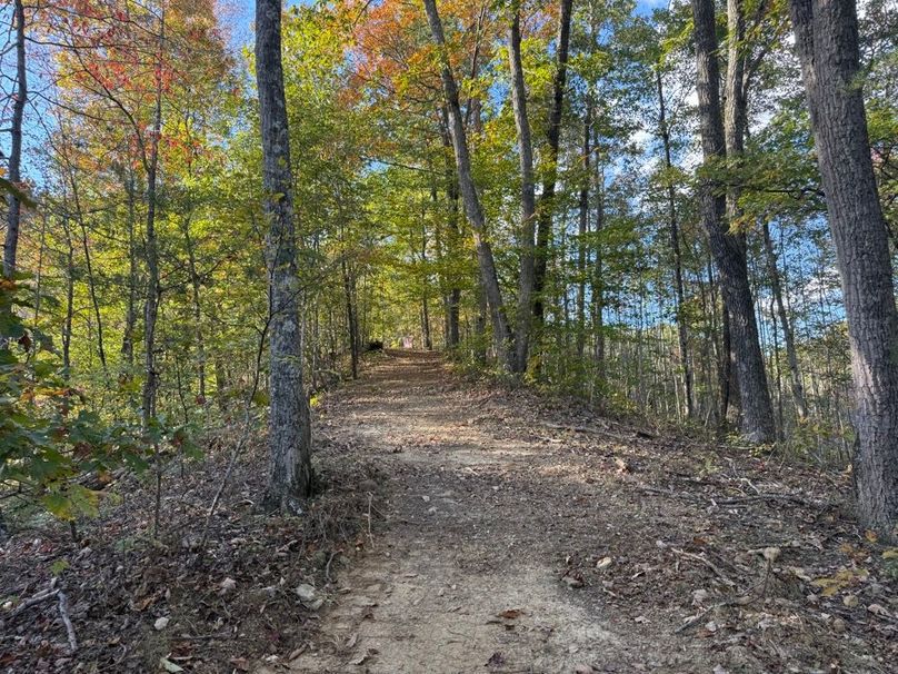 003 beautiful fall colors along a finger ridge