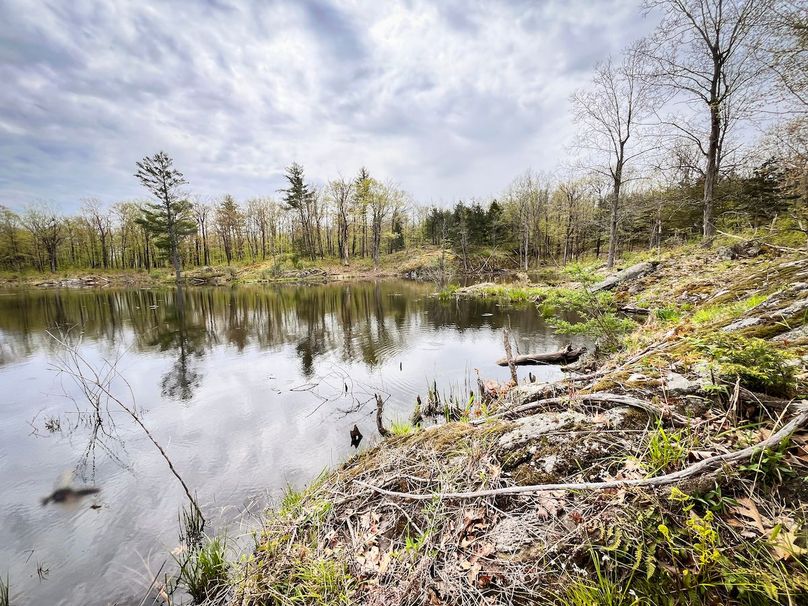 Jefferson_148.1_Flood_Photos_66