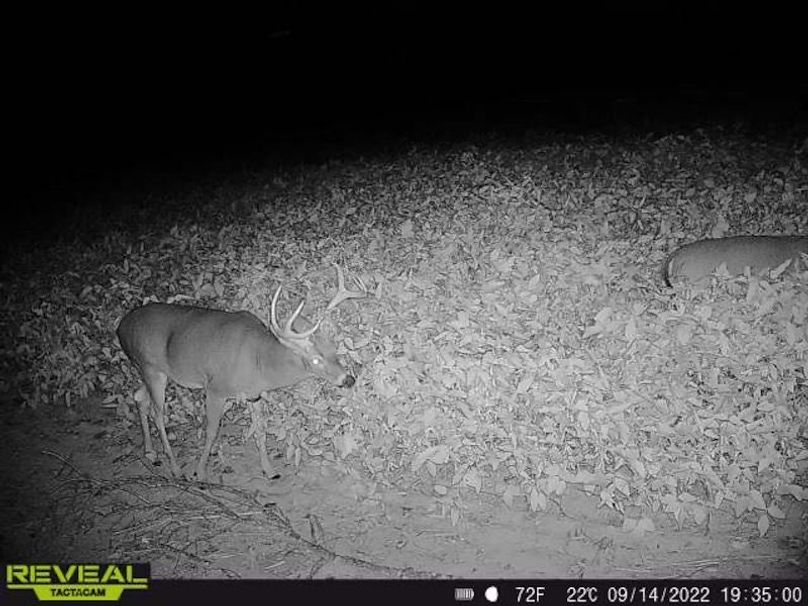 865519049947982-90-4-09142022193500-W1000890