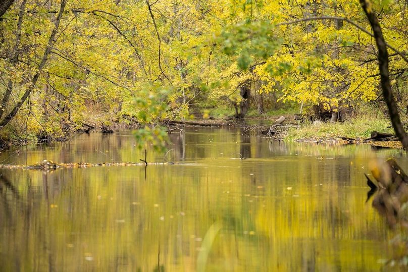 Battle Creek River