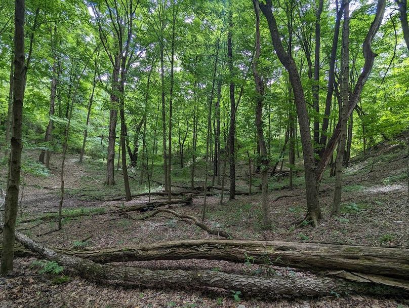 PXL_20240607_185550005