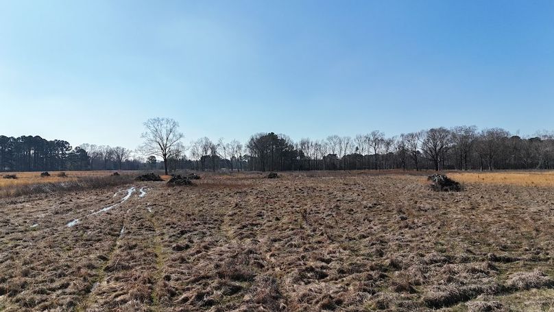 dji_fly_20260206_113122_0252_1770395771673_photo