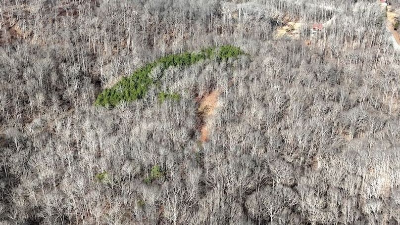 DJI_20260112113215_0021_D