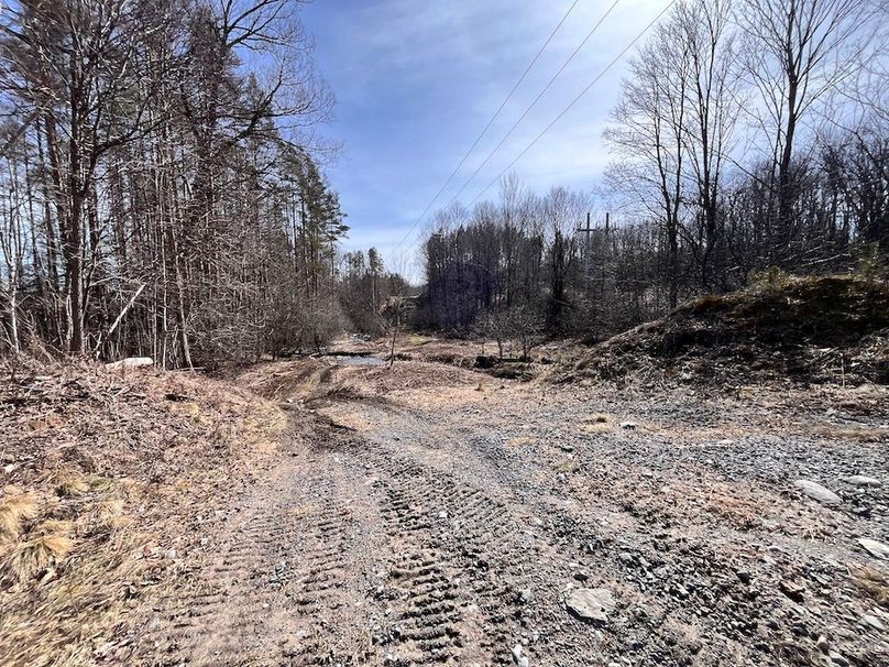 Lewis_26_Somberg Photo 6